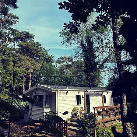 Knus Chalet Midden In De Bossen Nunspeet Eksteriør billede