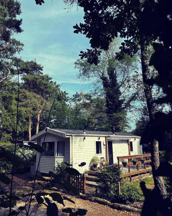 Knus Chalet Midden In De Bossen Nunspeet Eksteriør billede