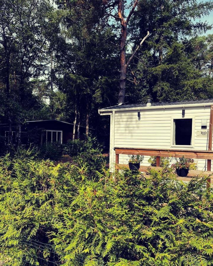 Knus Chalet Midden In De Bossen Nunspeet Eksteriør billede