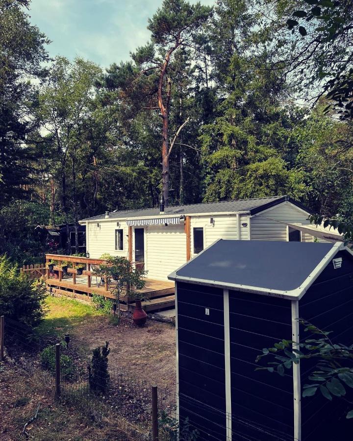 Knus Chalet Midden In De Bossen Nunspeet Eksteriør billede